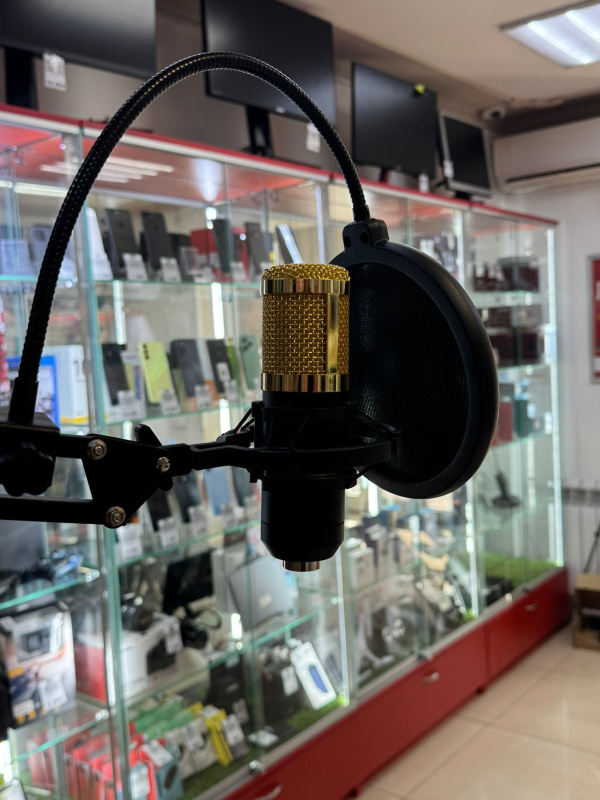 Микрофон JBH  BM-800