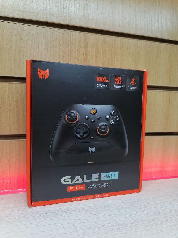 BIGBIG WON  GALE HALL